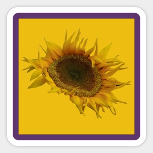 Sunflower Sticker